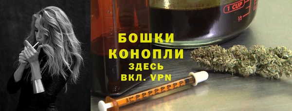 PSILOCYBIN Балабаново