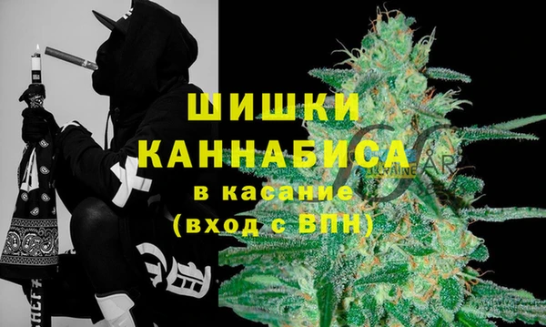 PSILOCYBIN Балабаново