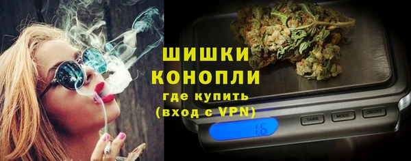 PSILOCYBIN Балабаново