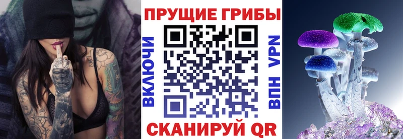 Псилоцибиновые грибы MAGIC MUSHROOMS  купить закладку  Сибай 